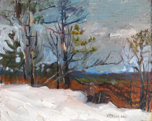Ontario Winter