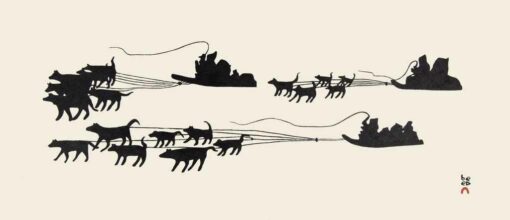 Journey by Dog Team