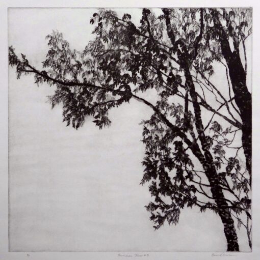 Summer Trees #3